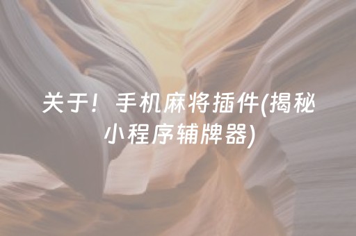 关于！手机麻将插件(揭秘小程序辅牌器)
