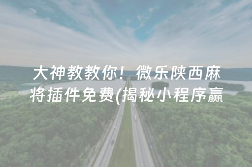 大神教教你！微乐陕西麻将插件免费(揭秘小程序赢牌的技巧)