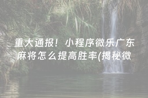 重大通报！小程序微乐广东麻将怎么提高胜率(揭秘微信里提高胜率)