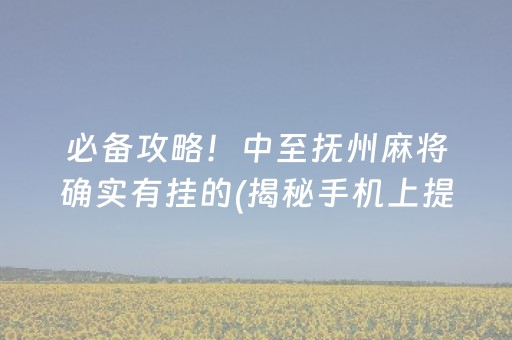 必备攻略！中至抚州麻将确实有挂的(揭秘手机上提高胜率)