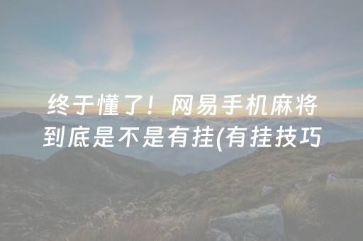 终于懂了！网易手机麻将到底是不是有挂(有挂技巧辅助器)