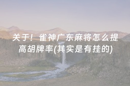 关于！雀神广东麻将怎么提高胡牌率(其实是有挂的)