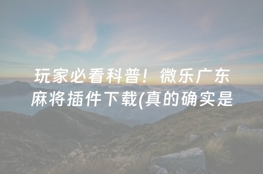 玩家必看科普！微乐广东麻将插件下载(真的确实是有挂)