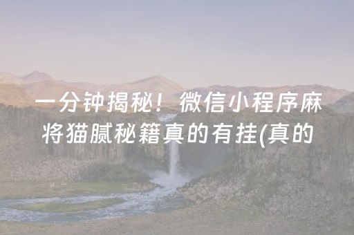 一分钟揭秘！微信小程序麻将猫腻秘籍真的有挂(真的有挂确实有挂)