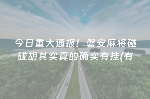 今日重大通报！磐安麻将碰碰胡其实真的确实有挂(有挂技巧辅助器)