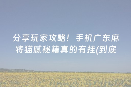 分享玩家攻略！手机广东麻将猫腻秘籍真的有挂(到底是不是有挂)