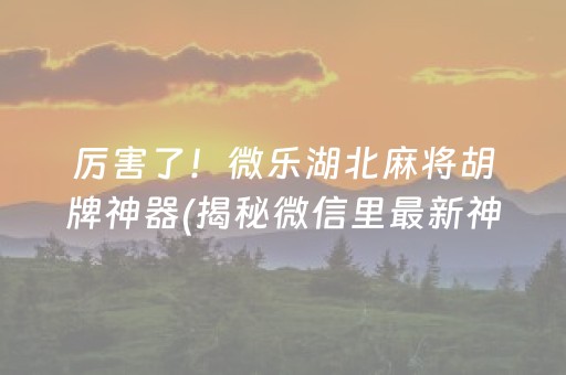 厉害了！微乐湖北麻将胡牌神器(揭秘微信里最新神器下载)