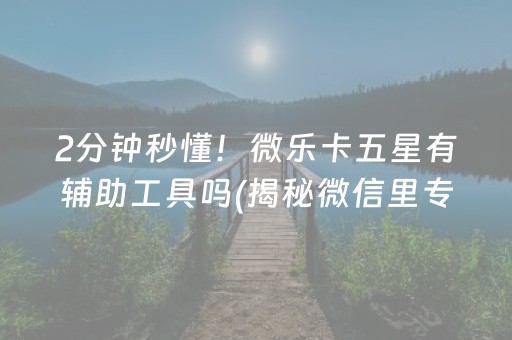 2分钟秒懂！微乐卡五星有辅助工具吗(揭秘微信里专用神器)