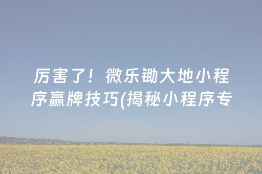 厉害了！微乐锄大地小程序赢牌技巧(揭秘小程序专用神器下载)