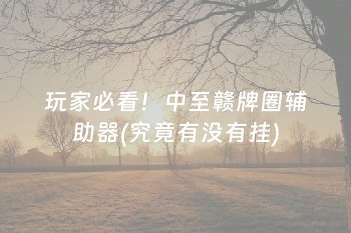 玩家必看！中至赣牌圈辅助器(究竟有没有挂)