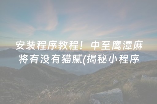 安装程序教程！中至鹰潭麻将有没有猫腻(揭秘小程序自建房怎么赢)