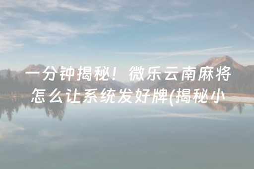 一分钟揭秘！微乐云南麻将怎么让系统发好牌(揭秘小程序辅牌器)
