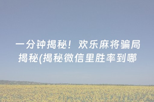 一分钟揭秘！欢乐麻将骗局揭秘(揭秘微信里胜率到哪调)