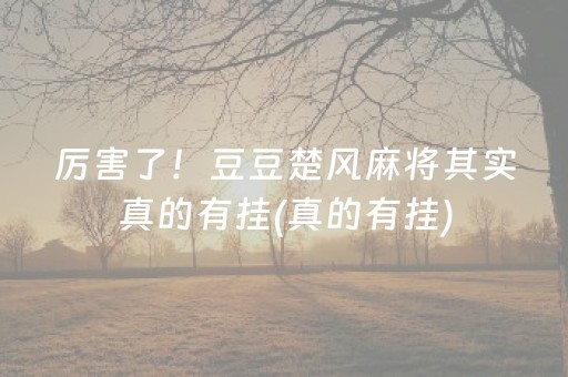 厉害了！豆豆楚风麻将其实真的有挂(真的有挂)