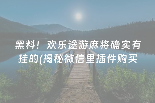 黑料！欢乐途游麻将确实有挂的(揭秘微信里插件购买)