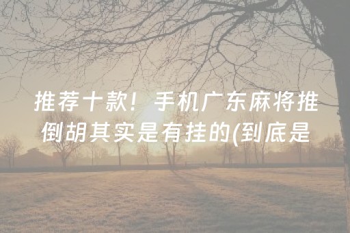 推荐十款！手机广东麻将推倒胡其实是有挂的(到底是不是有挂)