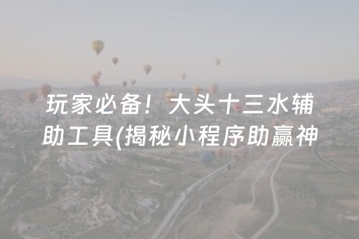 玩家必备！大头十三水辅助工具(揭秘小程序助赢神器购买)