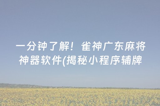 一分钟了解！雀神广东麻将神器软件(揭秘小程序辅牌器)