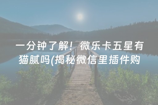 一分钟了解！微乐卡五星有猫腻吗(揭秘微信里插件购买)