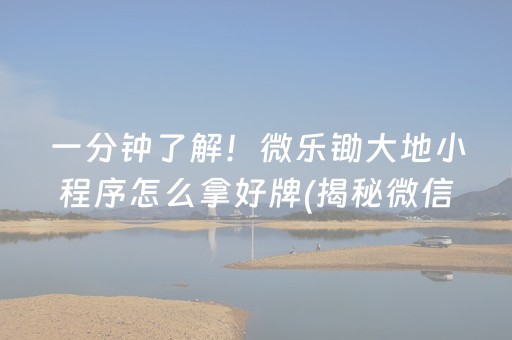 一分钟了解！微乐锄大地小程序怎么拿好牌(揭秘微信里自建房怎么赢)