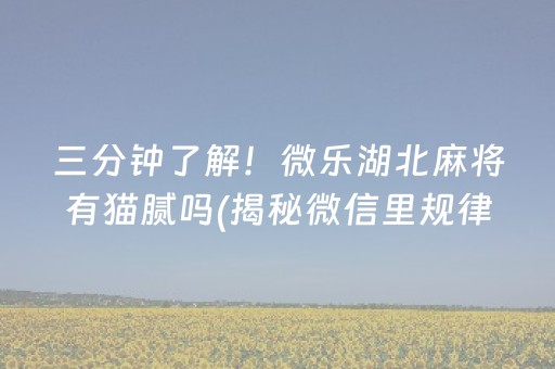 三分钟了解！微乐湖北麻将有猫腻吗(揭秘微信里规律攻略)