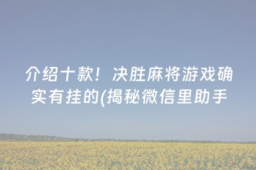 介绍十款！决胜麻将游戏确实有挂的(揭秘微信里助手软件)