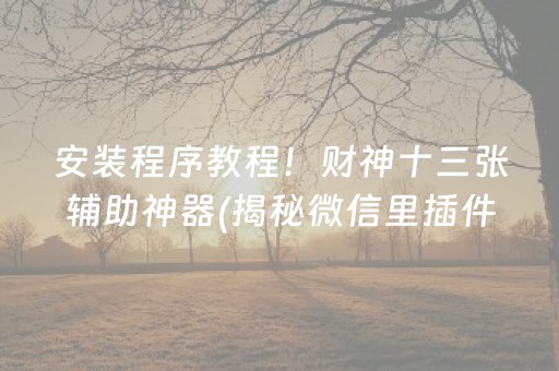 安装程序教程！财神十三张辅助神器(揭秘微信里插件免费)