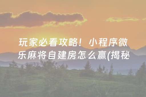 玩家必看攻略！小程序微乐麻将自建房怎么赢(揭秘微信里辅牌器)