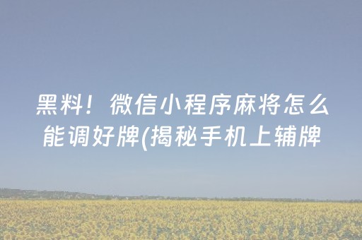 黑料！微信小程序麻将怎么能调好牌(揭秘手机上辅牌器)