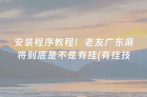 安装程序教程！老友广东麻将到底是不是有挂(有挂技巧辅助器)
