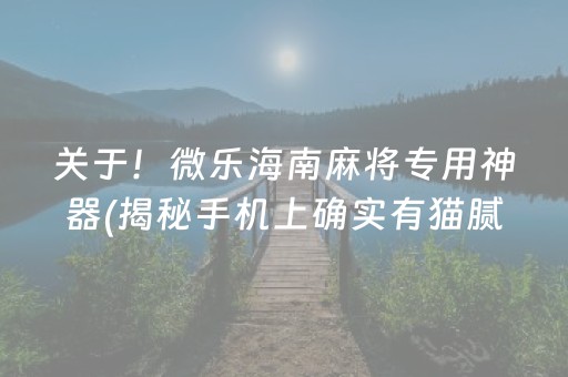 关于！微乐海南麻将专用神器(揭秘手机上确实有猫腻)
