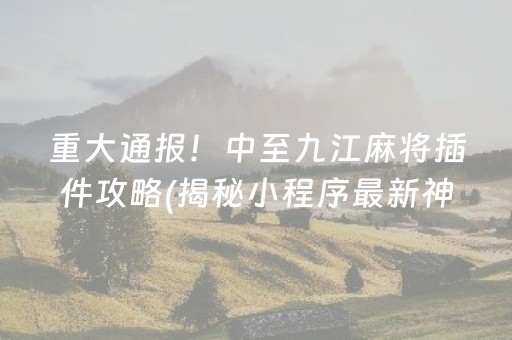 重大通报！中至九江麻将插件攻略(揭秘小程序最新神器下载)