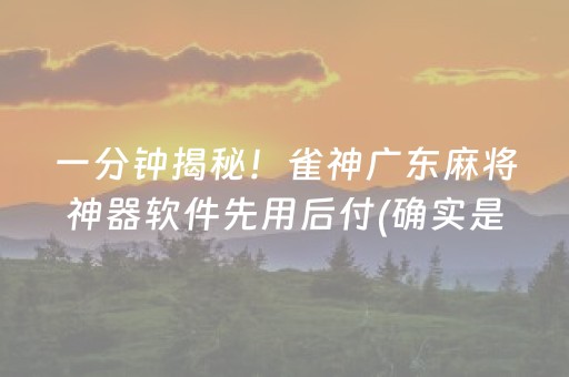 一分钟揭秘！雀神广东麻将神器软件先用后付(确实是有挂的)