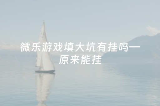 微乐游戏填大坑有挂吗—原来能挂（微乐游戏填大坑怎么没了）