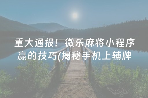 重大通报！微乐麻将小程序赢的技巧(揭秘手机上辅牌器)