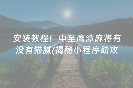 安装教程！中至鹰潭麻将有没有猫腻(揭秘小程序助攻神器)