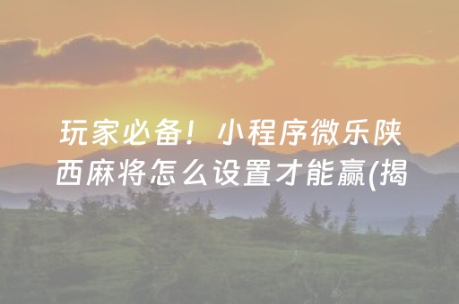 玩家必备！小程序微乐陕西麻将怎么设置才能赢(揭秘小程序赢牌技巧)