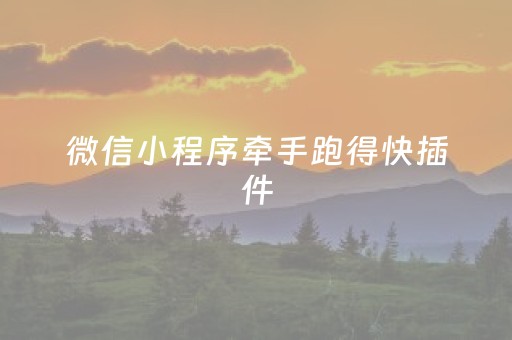 微信小程序牵手跑得快插件（微信小程序牵手跑得快技巧）