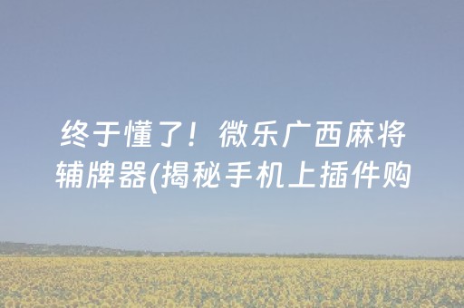 终于懂了！微乐广西麻将辅牌器(揭秘手机上插件购买)