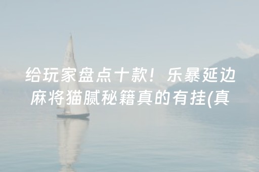 给玩家盘点十款！乐暴延边麻将猫腻秘籍真的有挂(真的确实是有挂)