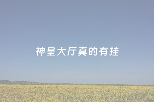 神皇大厅真的有挂（神皇28预测）