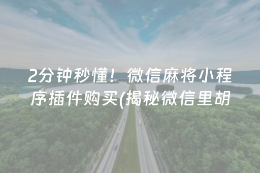 2分钟秒懂！微信麻将小程序插件购买(揭秘微信里胡牌技巧)