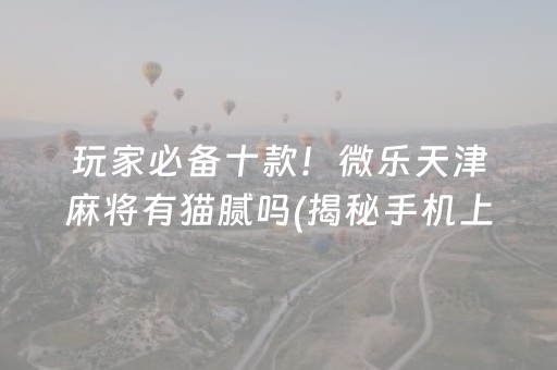 玩家必备十款！微乐天津麻将有猫腻吗(揭秘手机上插件购买)