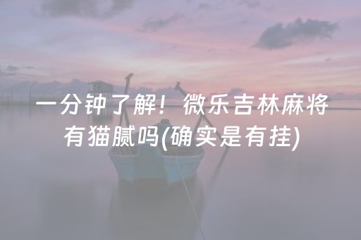 一分钟了解！微乐吉林麻将有猫腻吗(确实是有挂)