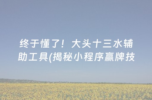 终于懂了！大头十三水辅助工具(揭秘小程序赢牌技巧)