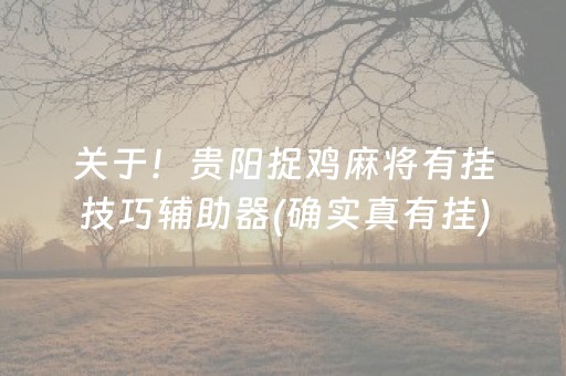 关于！贵阳捉鸡麻将有挂技巧辅助器(确实真有挂)