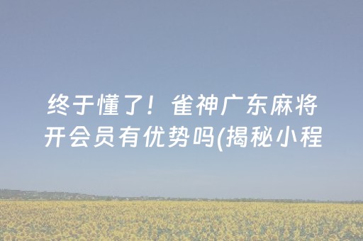终于懂了！雀神广东麻将开会员有优势吗(揭秘小程序专用神器)