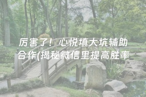 厉害了！心悦填大坑辅助合作(揭秘微信里提高胜率)