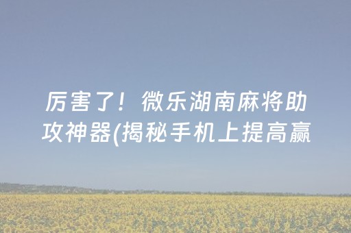 厉害了！微乐湖南麻将助攻神器(揭秘手机上提高赢的概率)