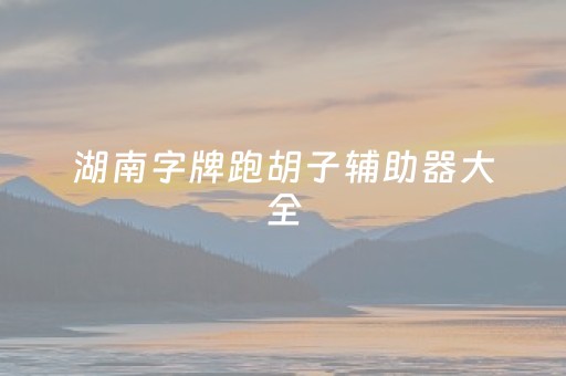 湖南字牌跑胡子辅助器大全（湖南跑胡子源码）